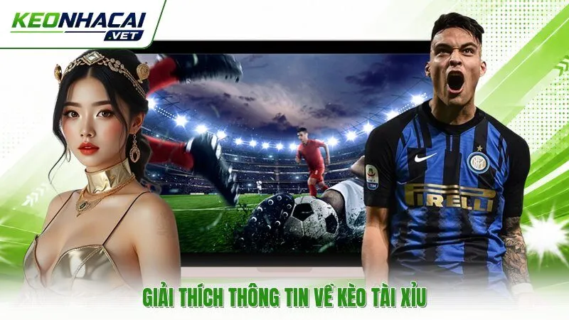 Giải thích thông tin về kèo tài xỉu