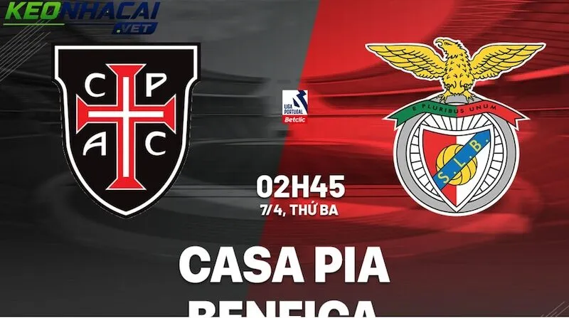 Nhận định Casa Pia vs Benfica