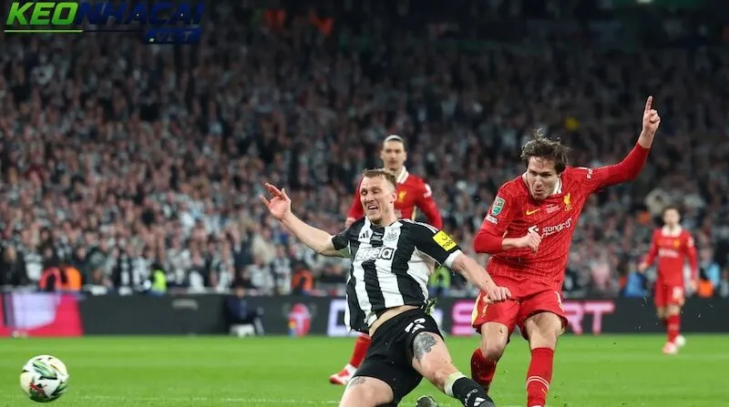 Nhận định Newcastle vs Liverpool